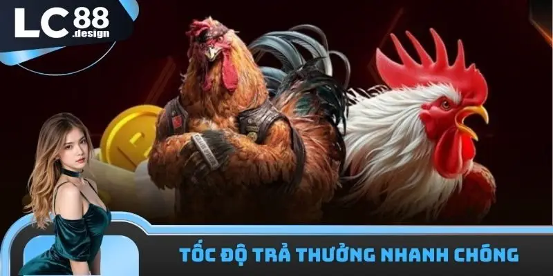 LC88 Trường Gà Campuchia - Nhận Định Trận Đấu Xanh Chín 3 LC88 trường gà Campuchia trả thưởng nhanh