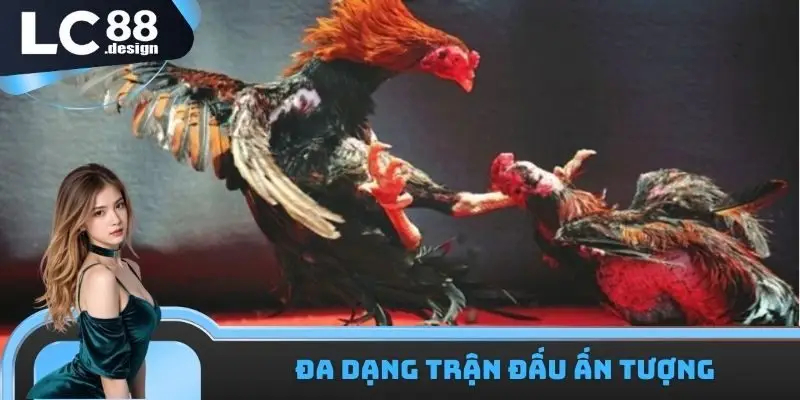 LC88 Trường Gà Campuchia - Nhận Định Trận Đấu Xanh Chín 2 Trận đấu LC88 trường gà Campuchia vô cùng lôi cuốn