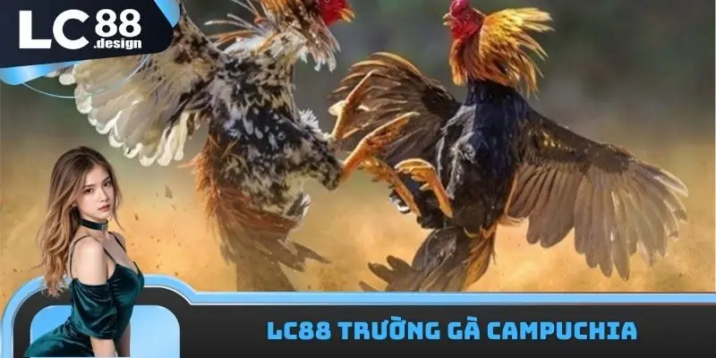 LC88 Trường Gà Campuchia