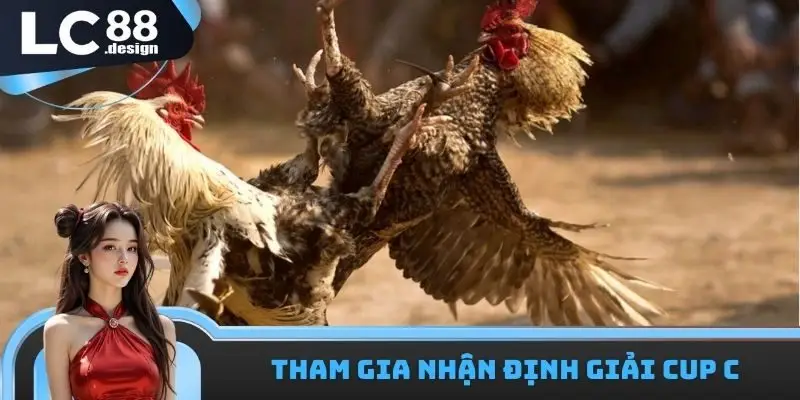 LC88 Trường Gà Savan - Sân Chơi Nổi Tiếng Nhất Đông Nam Á 3 Cấp giải Cup C tiềm năng tại trường đấu Savan