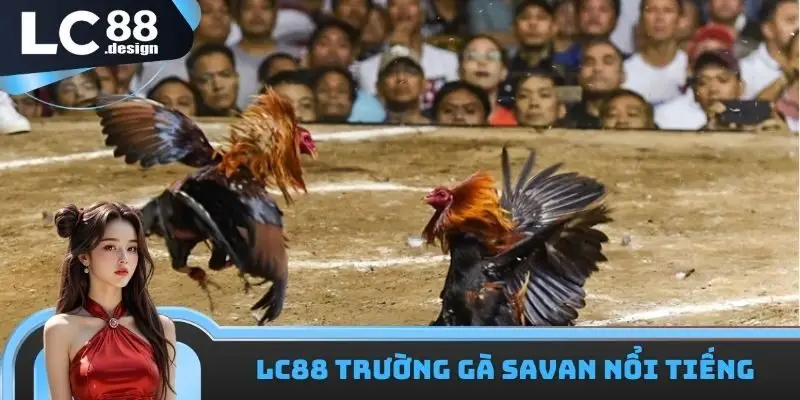 LC88 Trường Gà Savan