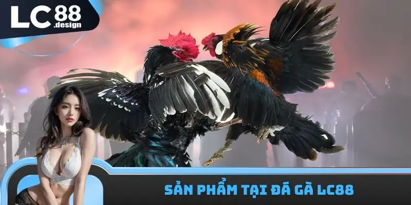 Sản phẩm tại đá gà LC88